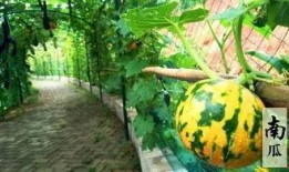 摸鱼吃瓜娱乐,摸鱼吃瓜娱乐生活指南