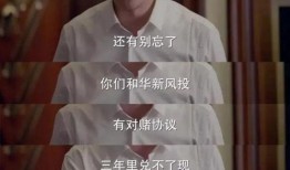 编剧爆料娱乐圈内幕