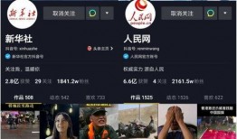 山东网红爆料新闻报道视频,揭秘新闻背后的真相