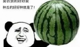 甜瓜爆料完整视频在线观看,揭秘幕后真相，带你走进事件核心