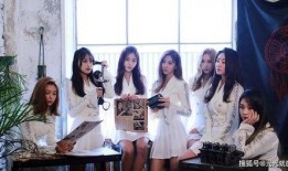 归国女团成员爆料视频播放,幕后真相大曝光