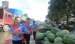 文县网红吃瓜事件始末,一场网络舆论的风暴与反思