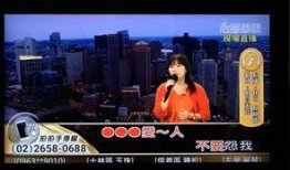 台湾电视节目在线观看