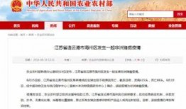江苏今日爆料连云港新闻,聚焦今日热点事件